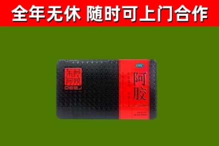 娄星回收阿胶